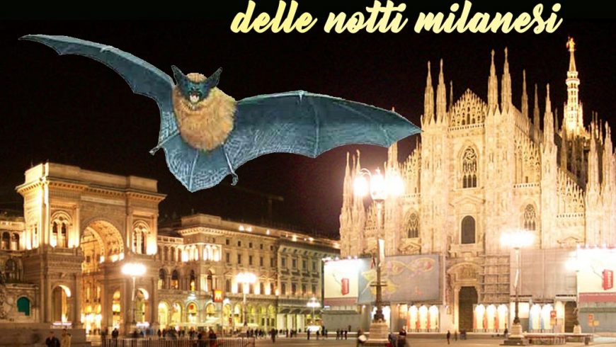 Bat night a Milano