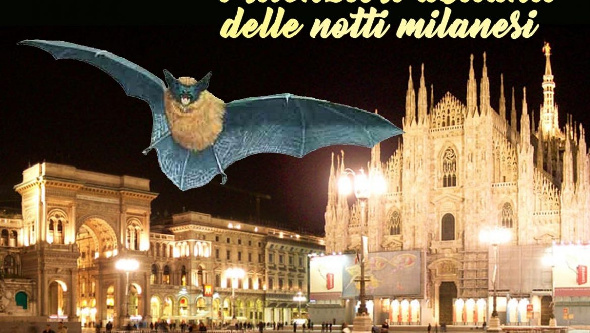 Bat night a Milano