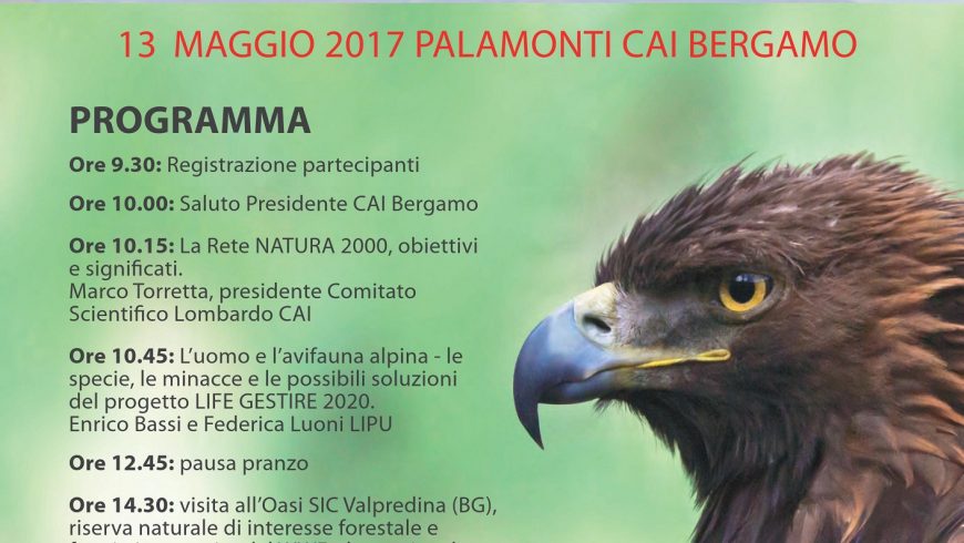 La gestione di Rete Natura 2000 e la salvaguardia dell’avifauna in ambito montano
