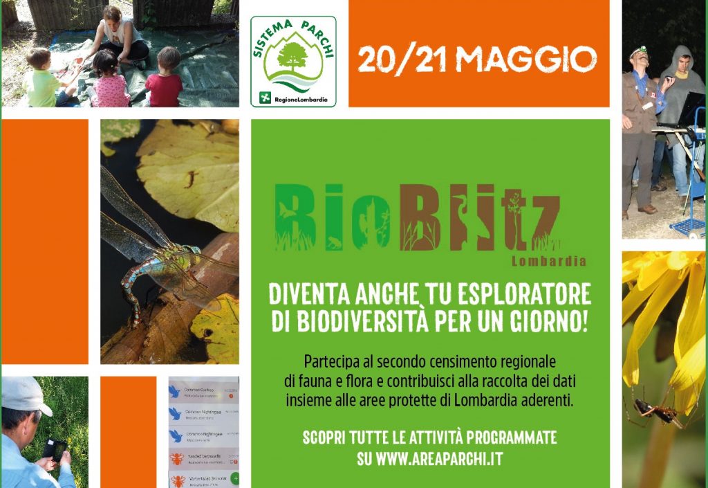 Bioblitz Lombardia 20-21 maggio: esploratori della biodiversità per un giorno!