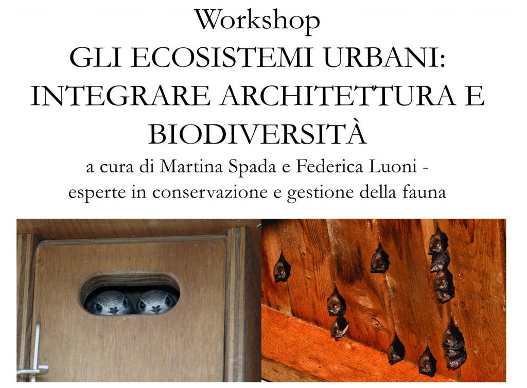 Workshop per architetti, pianificatori e paesaggisti per integrare architettura e biodiversità