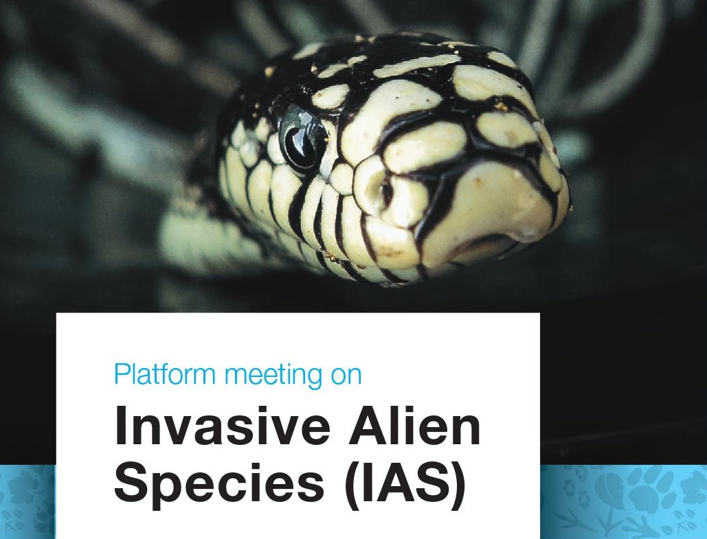 Pubblicati programma e materiali del platform meeting su specie aliene invasive del 29-30 novembre, a Milano