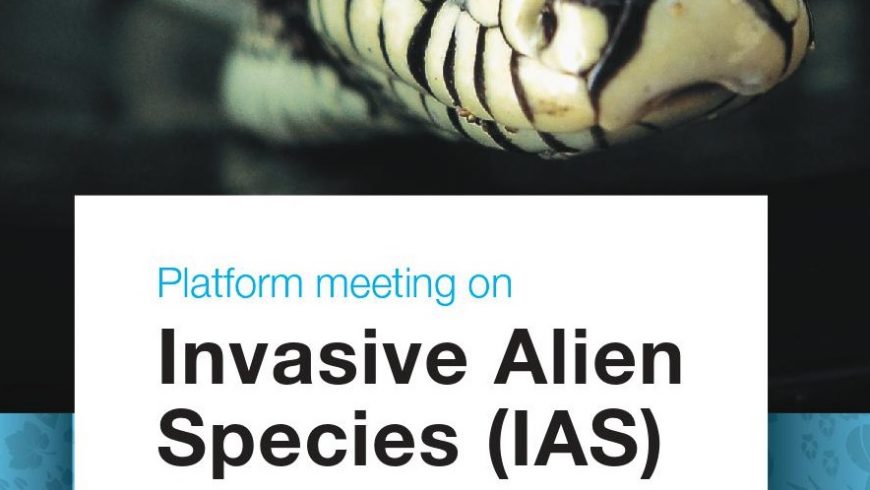 Platform meeting su specie aliene invasive a Milano