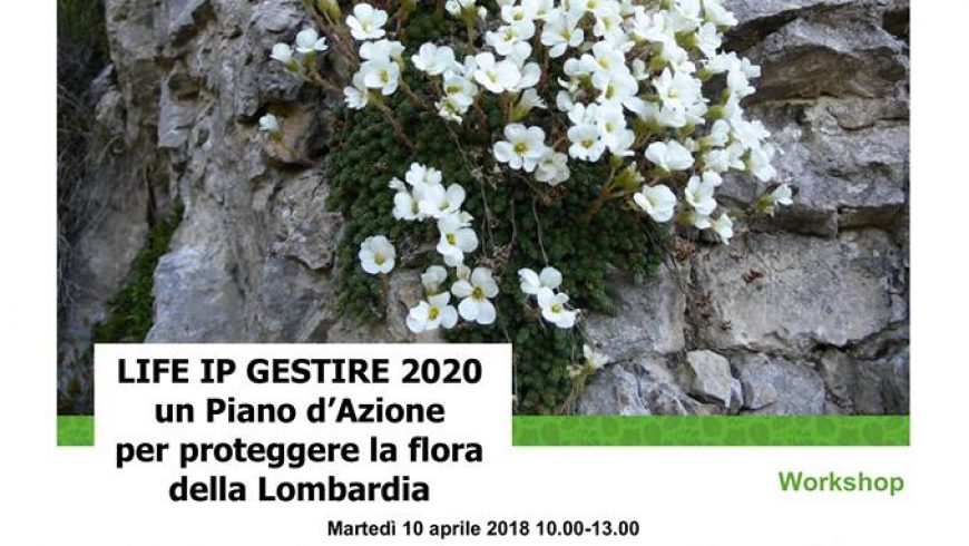 Workshop – Piano d’azione per la flora lombarda