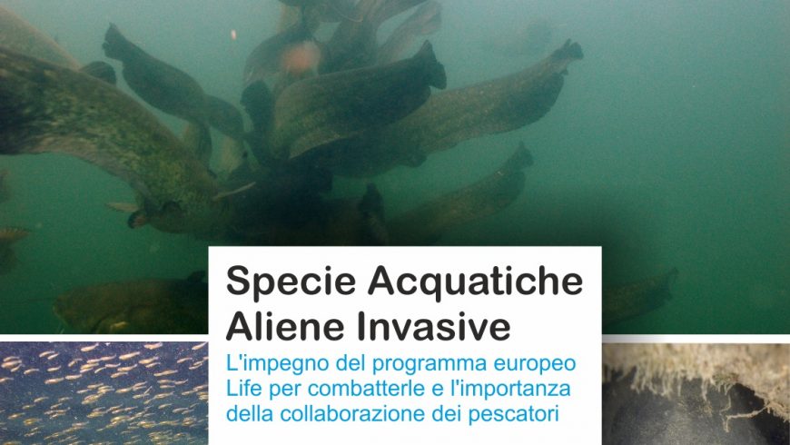 Seminario su specie acquatiche aliene invasive – Bereguardo