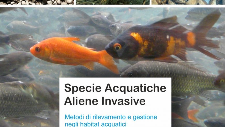 Seminario su specie acquatiche aliene invasive – Milano