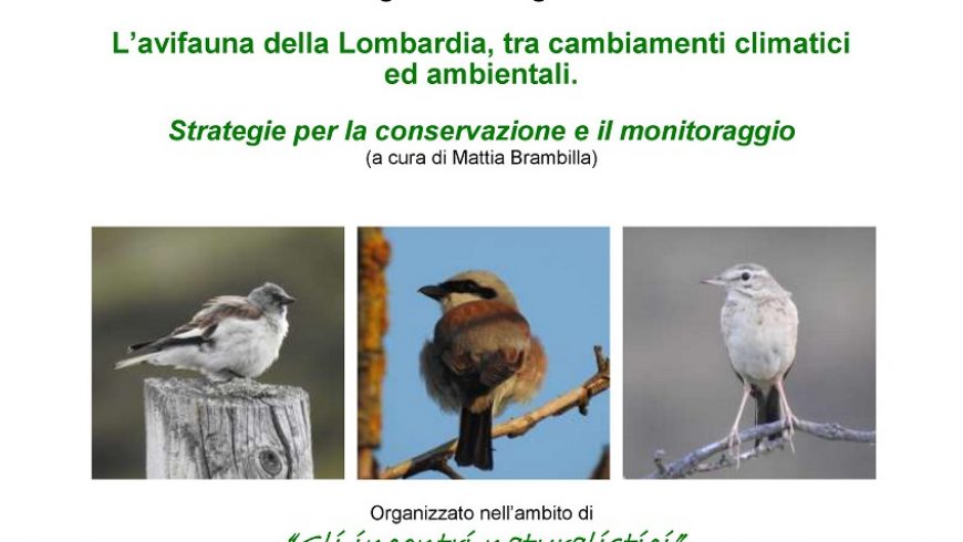 L’avifauna della Lombardia, tra cambiamenti climatici e ambientali