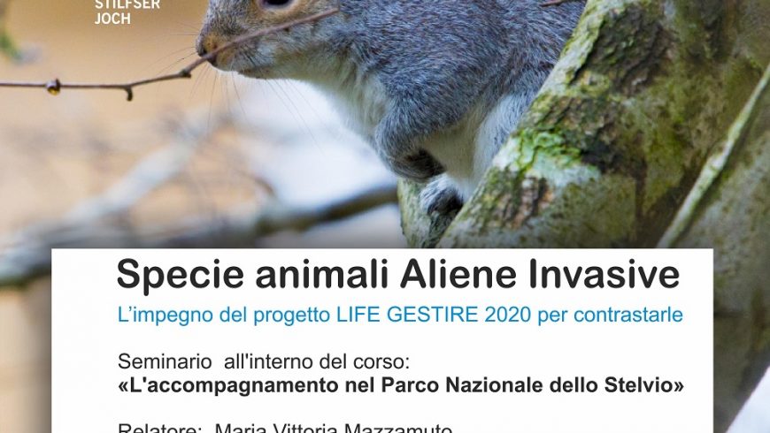 Seminario su specie animali aliene invasive – Parco Nazionale dello Stelvio