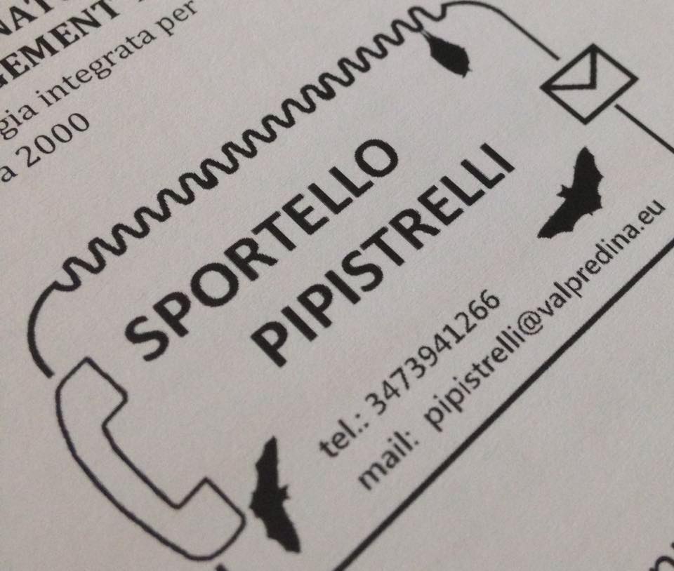 Sportello-Pipistrello.jpg