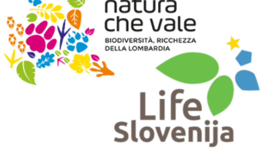 Progetti LIFE di Lombardia e Slovenia si incontrano il 12 e 13 settembre