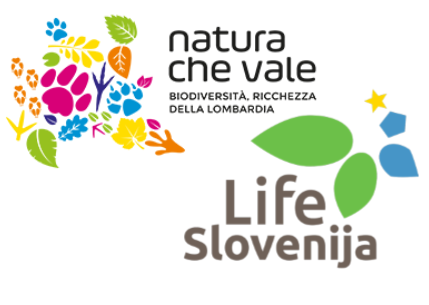 Progetti LIFE di Lombardia e Slovenia si incontrano il 12 e 13 settembre