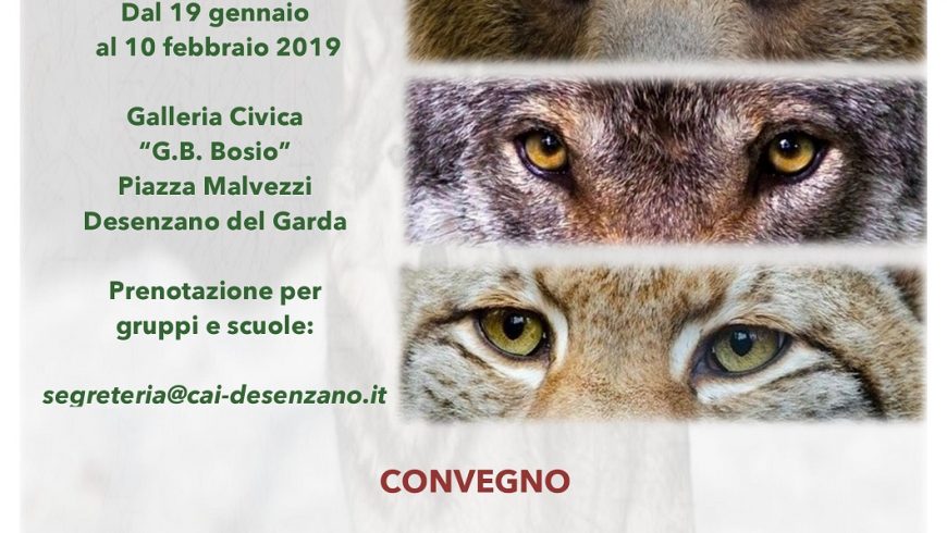Presenze silenziose: ritorni e nuovi arrivi di carnivori nelle Alpi – Desenzano del Garda (BS)