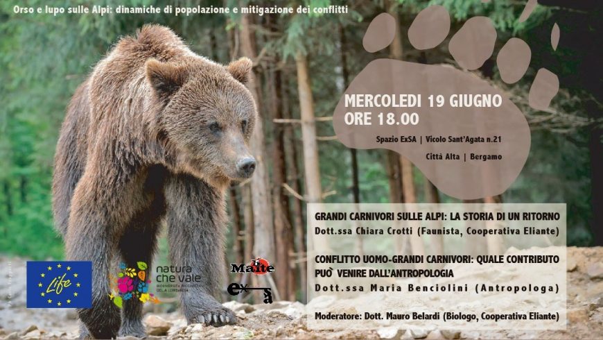 I prossimi appuntamenti con i grandi carnivori in Lombardia