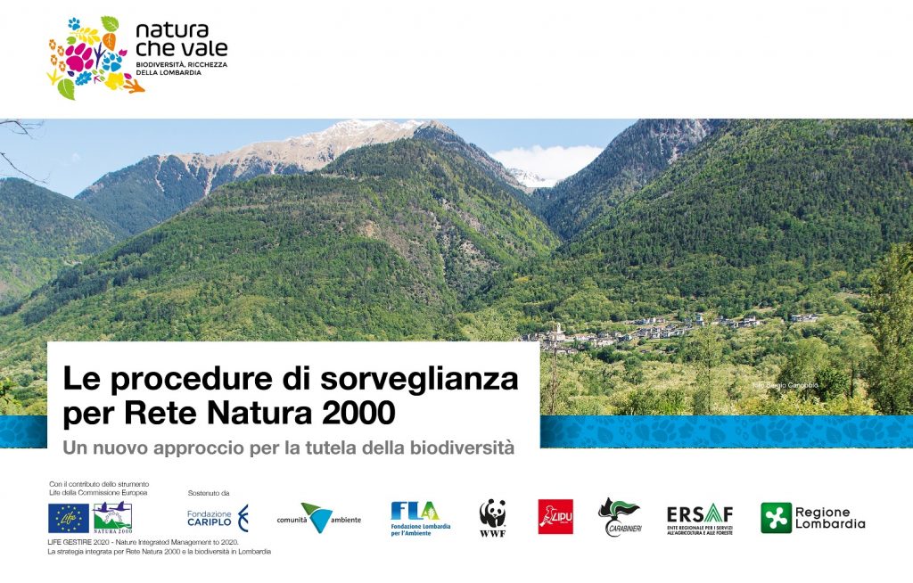 Presentazione delle procedure di sorveglianza per Rete Natura 2000 – 5 novembre a Milano