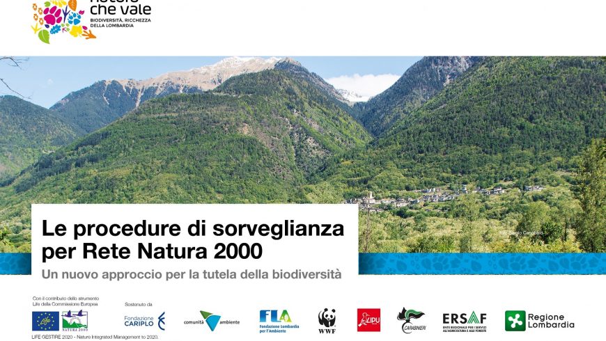 Presentazione delle procedure di sorveglianza per Rete Natura 2000 – 5 novembre a Milano