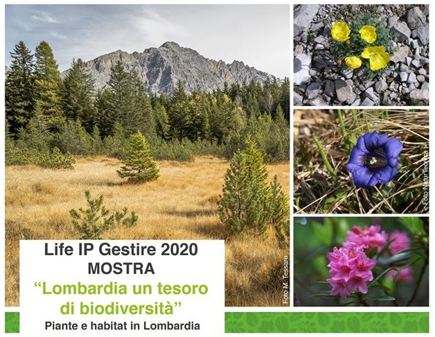 Banner-Morbegno-mostra-biodiversità.jpg