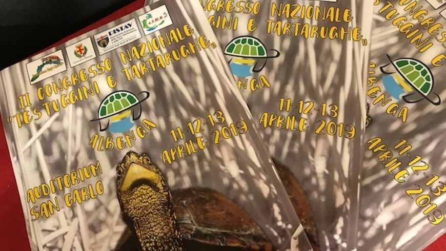 Testuggini e tartarughe: pubblicati gli atti del Congresso nazionale del 2019
