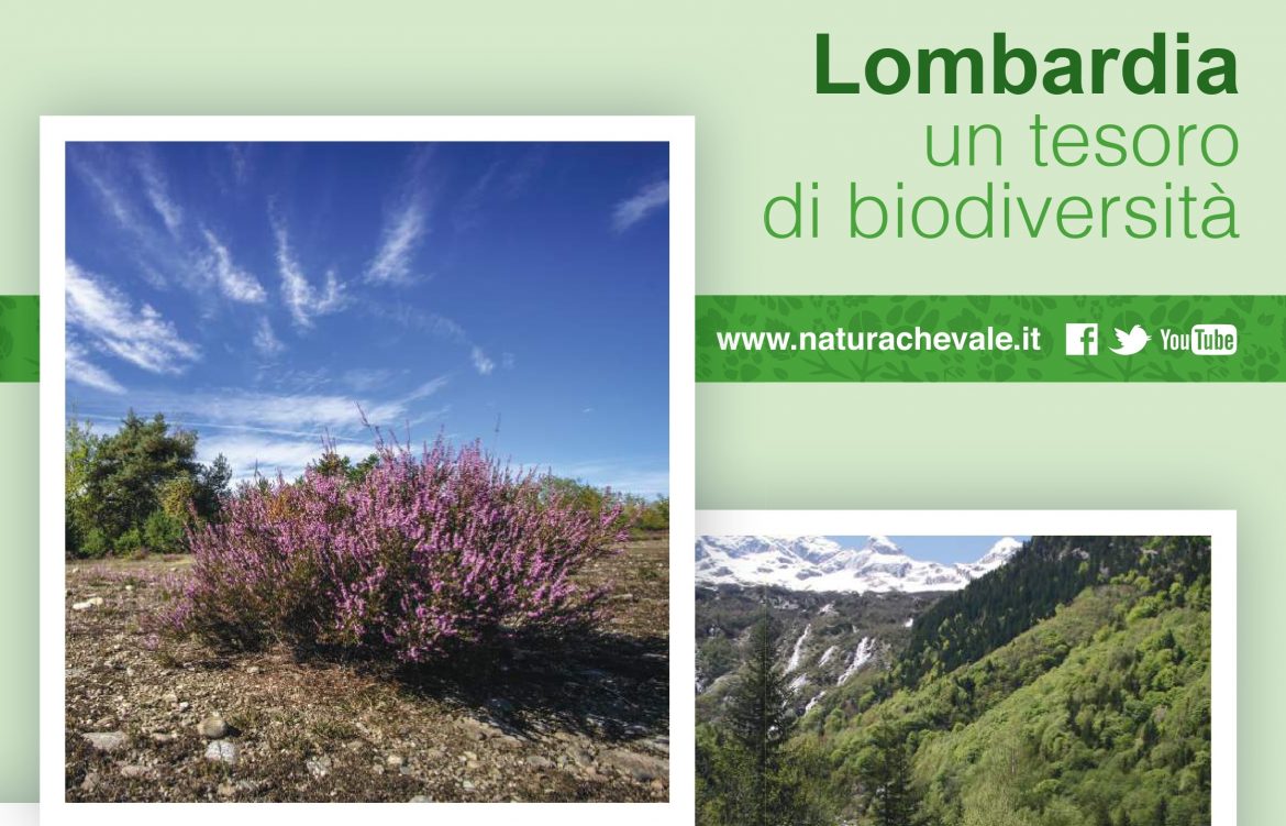 Banner-lombardia-un-tesoro-di-biodiversità.jpg