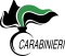 Logo Carabinieri forestali 2 (agg. 2020)