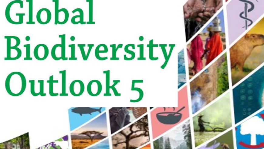 Pubblicato il nuovo rapporto sulle prospettive globali della biodiversità