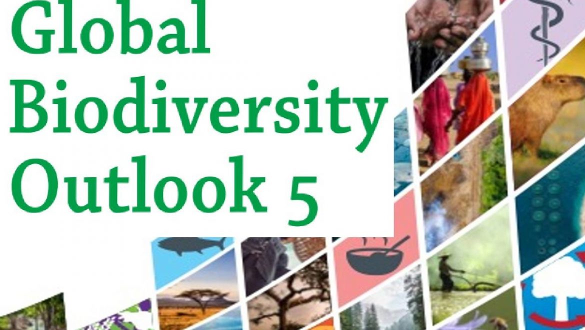 The global perspectives on biodiversity