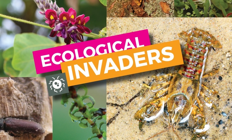 Banner-ecological-invaders.jpg