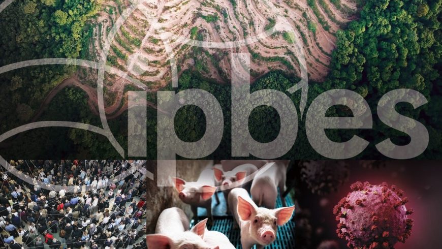 Biodiversity and pandemics: the Ipbes report