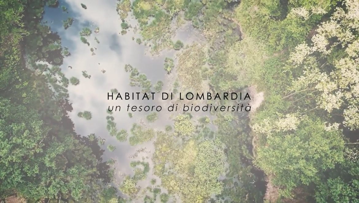Pubblicato il video “Habitat di Lombardia, un tesoro di biodiversità”