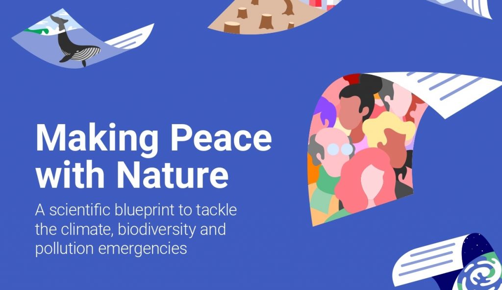 “Fare pace con la natura”: pubblicato il nuovo rapporto del Programma ONU per l’ambiente