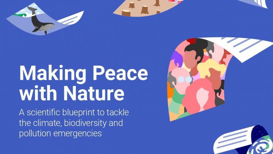 “Fare pace con la natura”: pubblicato il nuovo rapporto del Programma ONU per l’ambiente