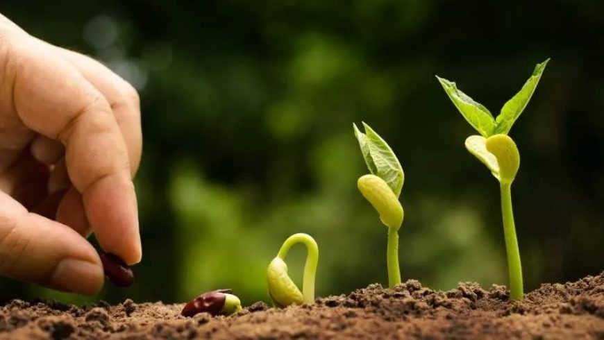 Bando Cariplo “Coltivare Valore”: 2 milioni per finanziare pratiche di agricoltura sostenibile