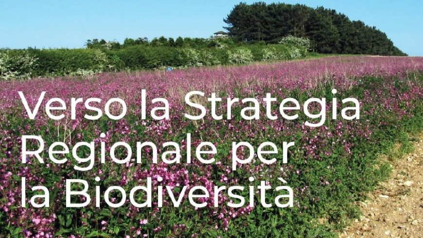 Verso la strategia regionale per la biodiversità: Regione Lombardia apre la consultazione pubblica