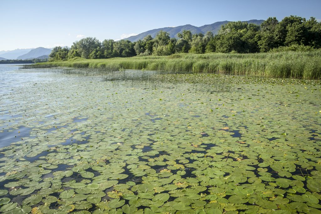 16 milioni di euro per la tutela dei laghi lombardi: il contributo dei tecnici facilitatori di Life Gestire 2020