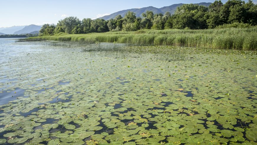 16 milioni di euro per la tutela dei laghi lombardi: il contributo dei tecnici facilitatori di Life Gestire 2020