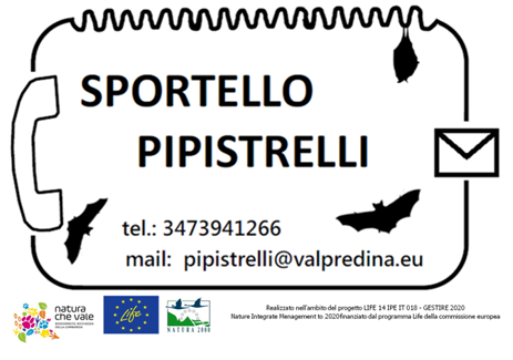 Sportello-Pipistrelli.png