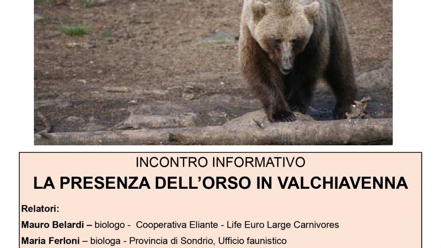 La presenza dell’orso in Valchiavenna – Chiavenna (SO)