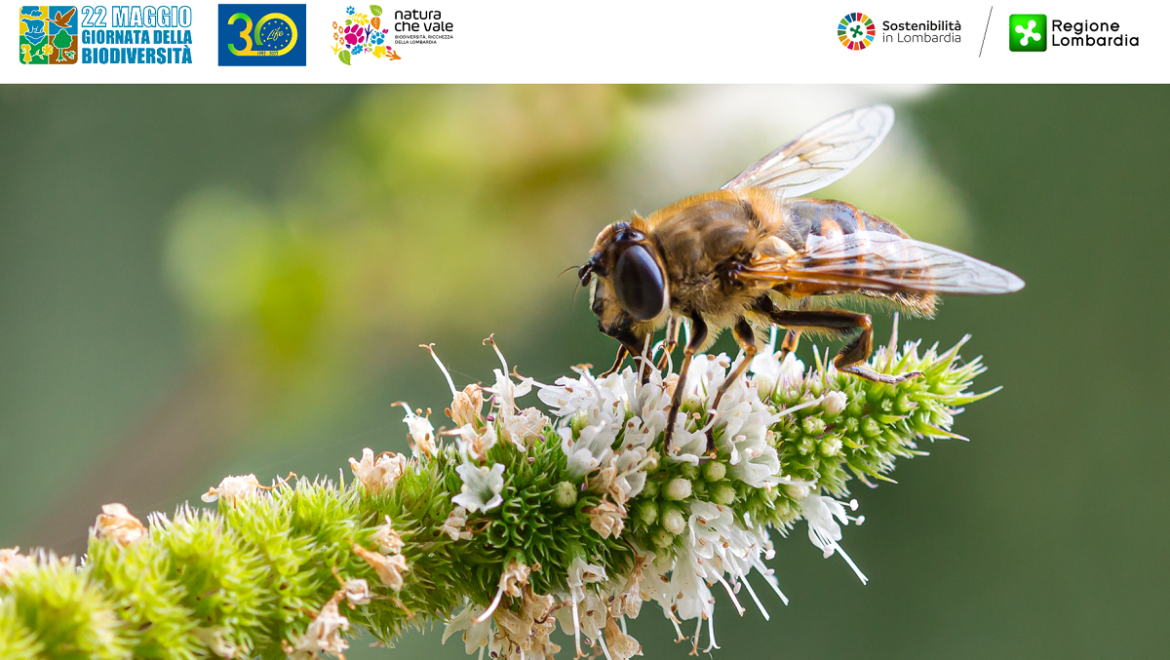 Regione Lombardia celebra la Giornata mondiale della biodiversità