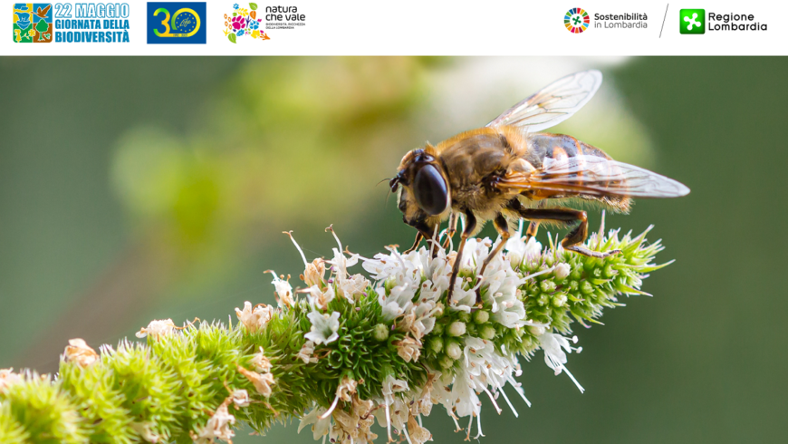 Regione Lombardia celebra la Giornata mondiale della biodiversità