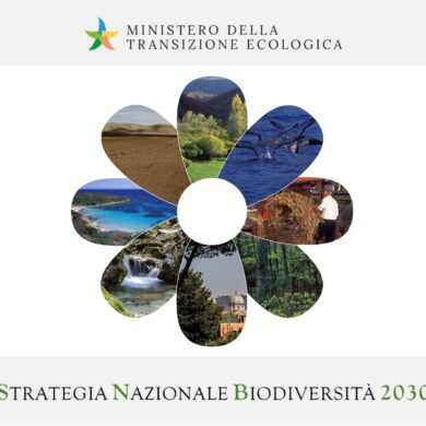 Consultazione pubblica della Strategia Nazionale Biodiversità 2030: aperta fino al 22 maggio