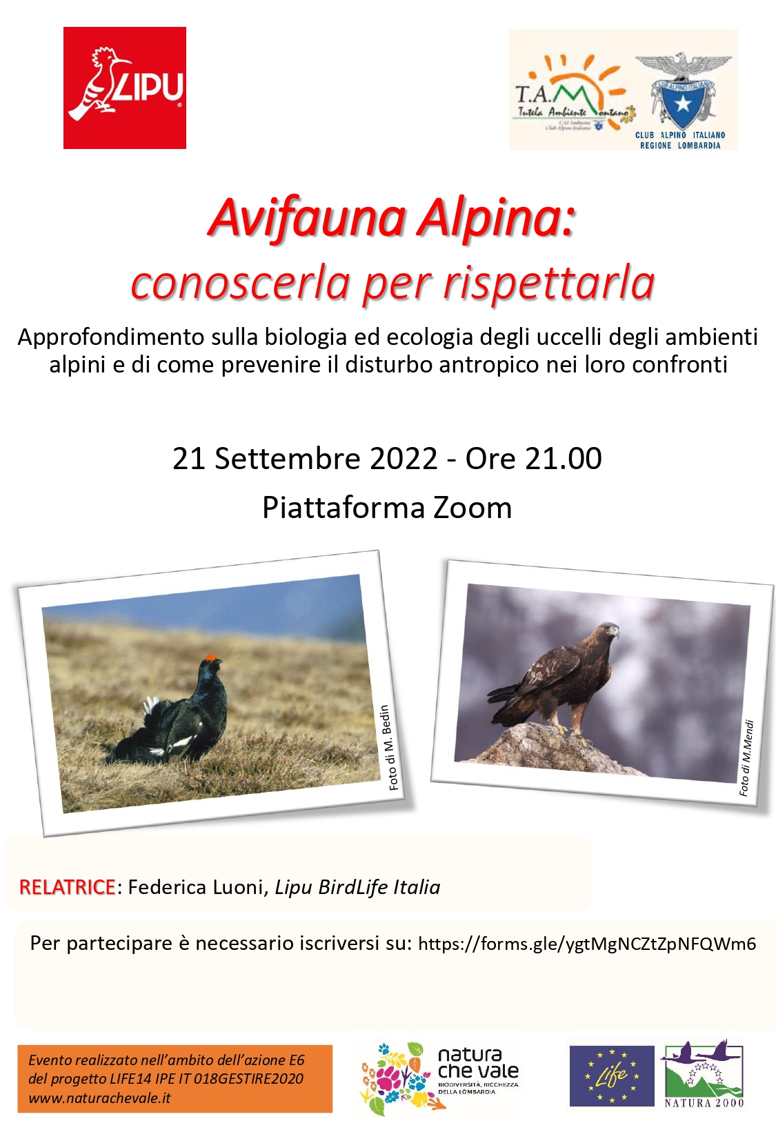 Avifauna-Alpina_set2022_page-0001.jpg