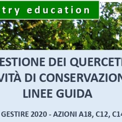 Il 29 settembre seminario su “Gestione dei querceti: attività di conservazione e linee guida”