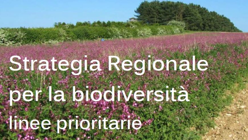 Regione Lombardia approva la Strategia regionale per la Biodiversità