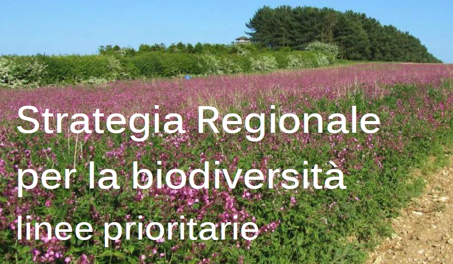 Regione Lombardia approva la Strategia regionale per la Biodiversità