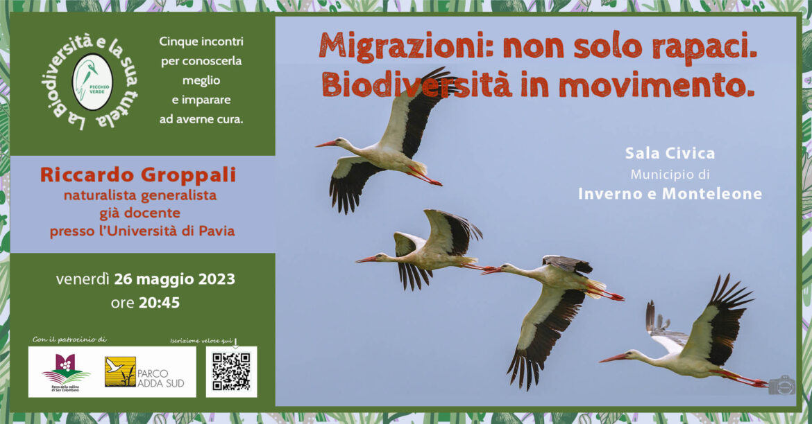 Migrazioni-non-solo-rapaci-Biodiversita-in-movimento.jpg