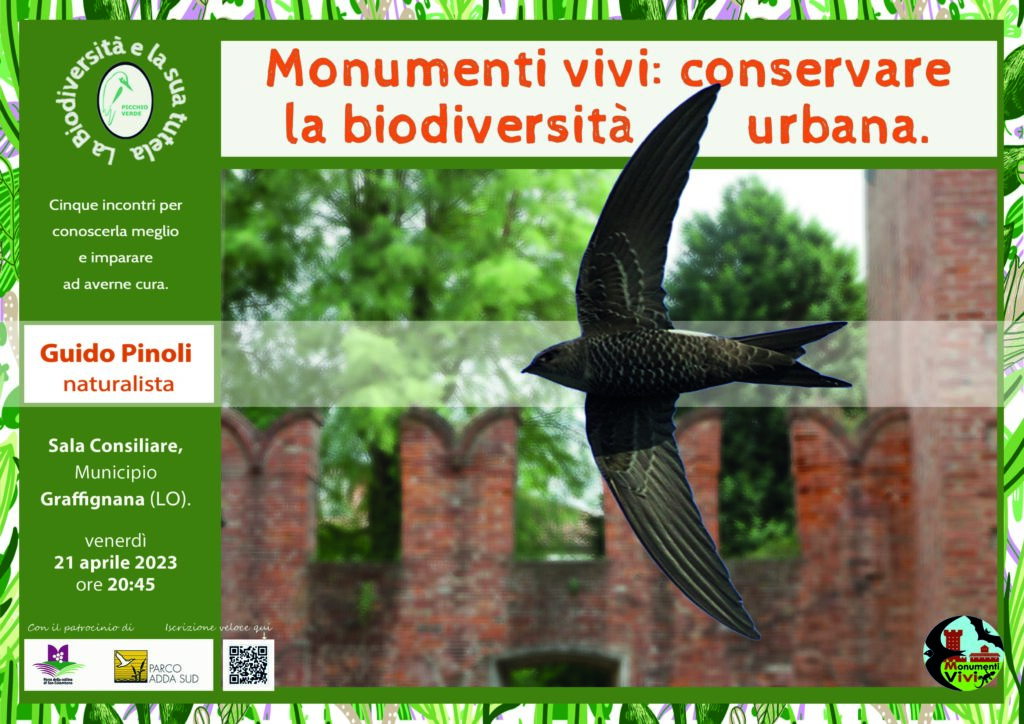 Monumenti vivi: conservare la biodiversità urbana - Graffignana (LO)