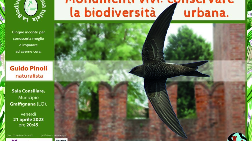 Monumenti vivi: conservare la biodiversità urbana – Graffignana (LO)