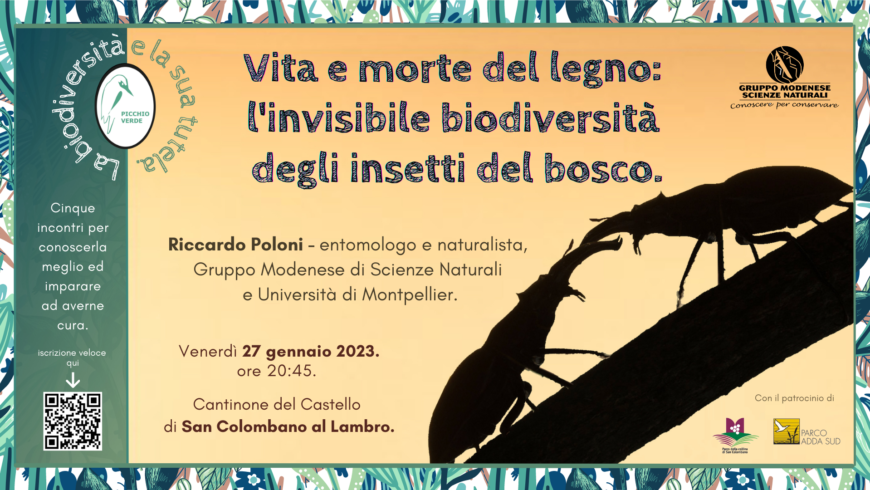 Vita e morte nel legno: l’invisibile biodiversità degli insetti del bosco – San Colombano (MI)