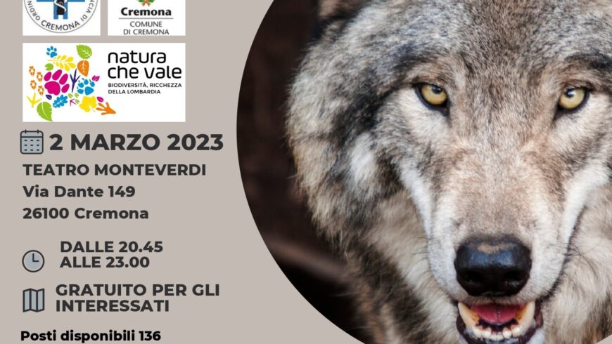 Come comportarsi in caso di contatto o avvistamento di lupi – Cremona