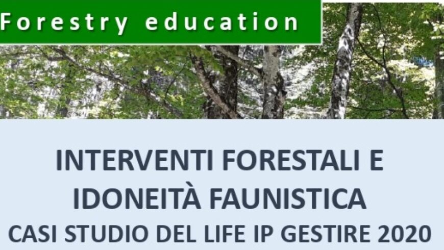 Interventi forestali e idoneità faunistica – Prim’alpe di Canzo (CO)