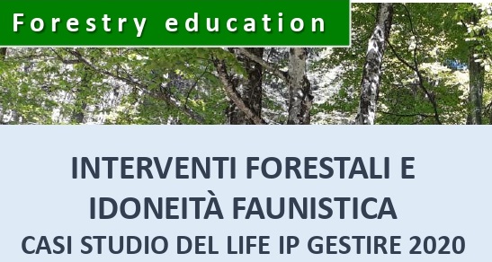 Seminario su interventi forestali e idoneità faunistica – 9 maggio 2023